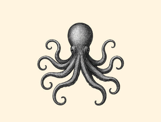 "From the Depths of Inspiration" A Letter from the Octopus