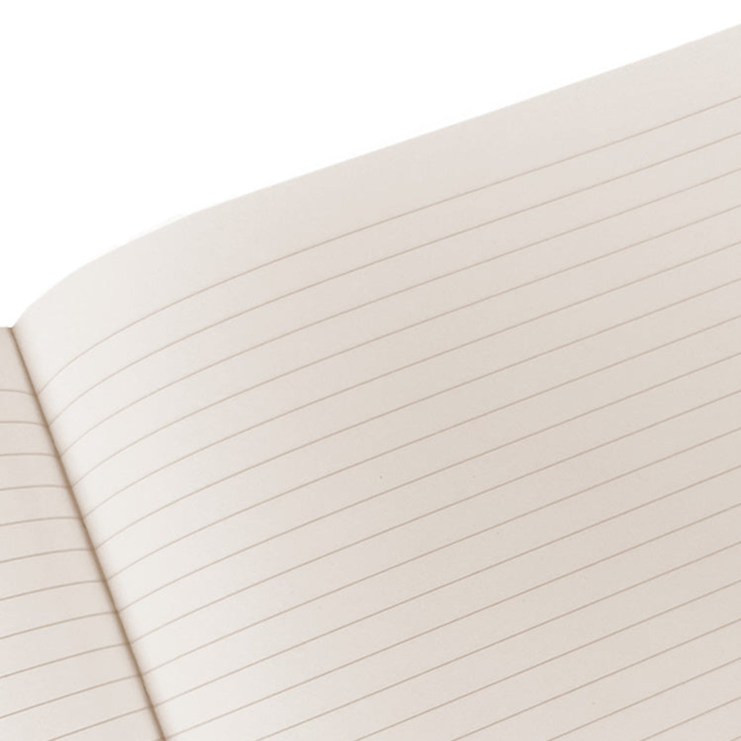 Large Bristol Journal