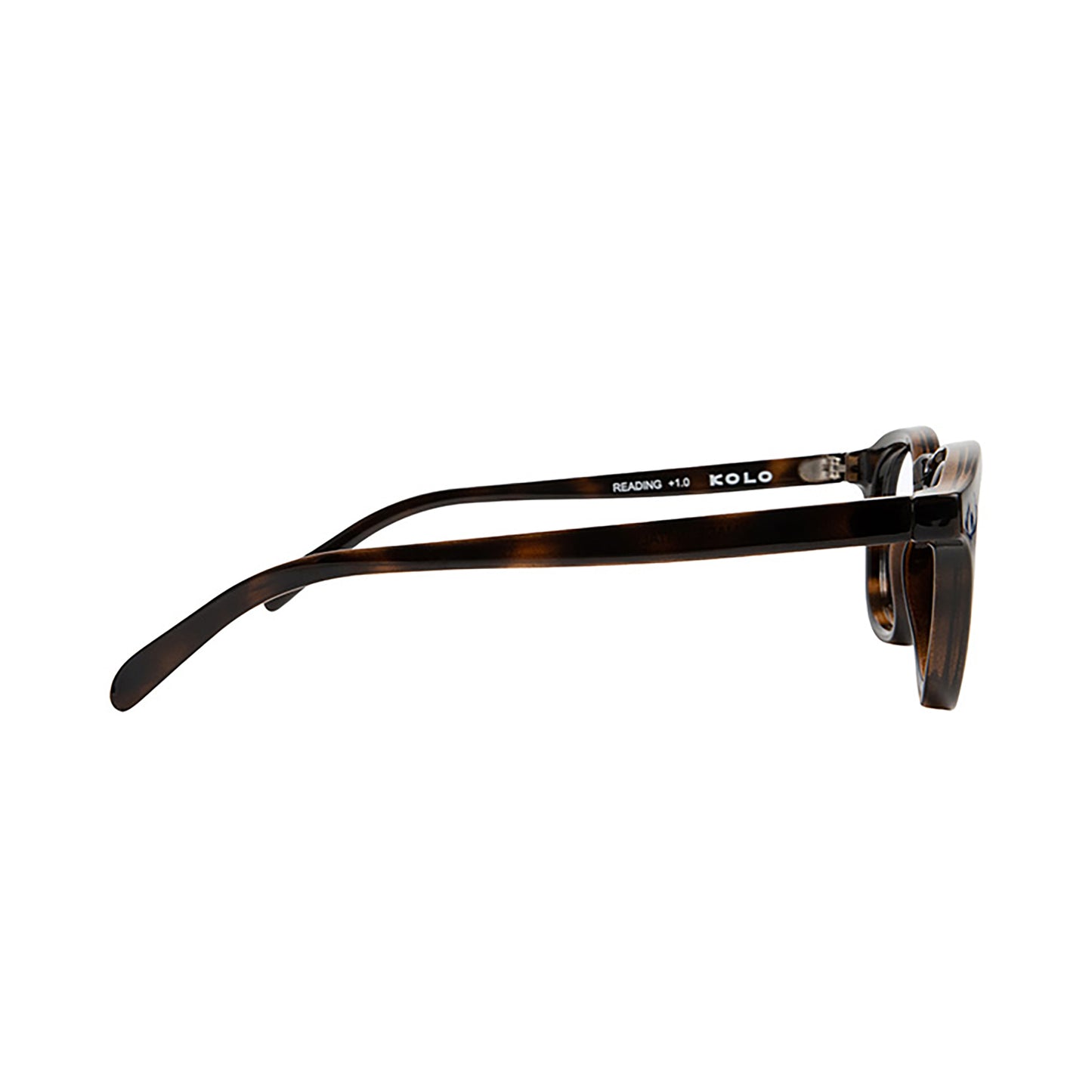 Webster Screen Readers