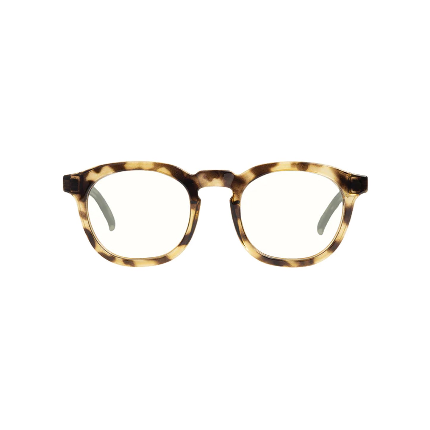 Webster Screen Readers
