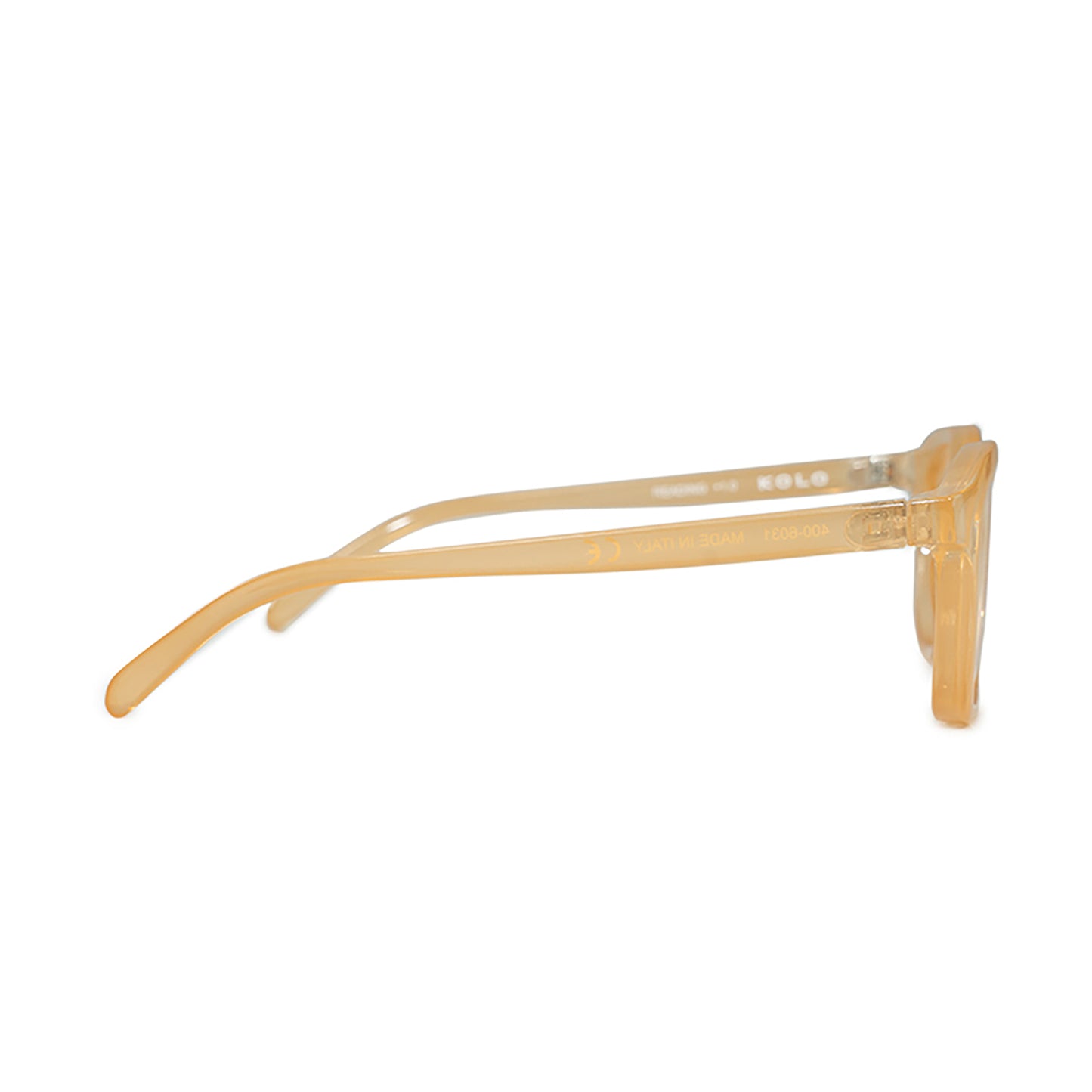 Webster Screen Readers