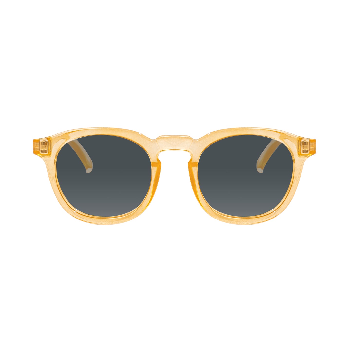Webster Sunglasses