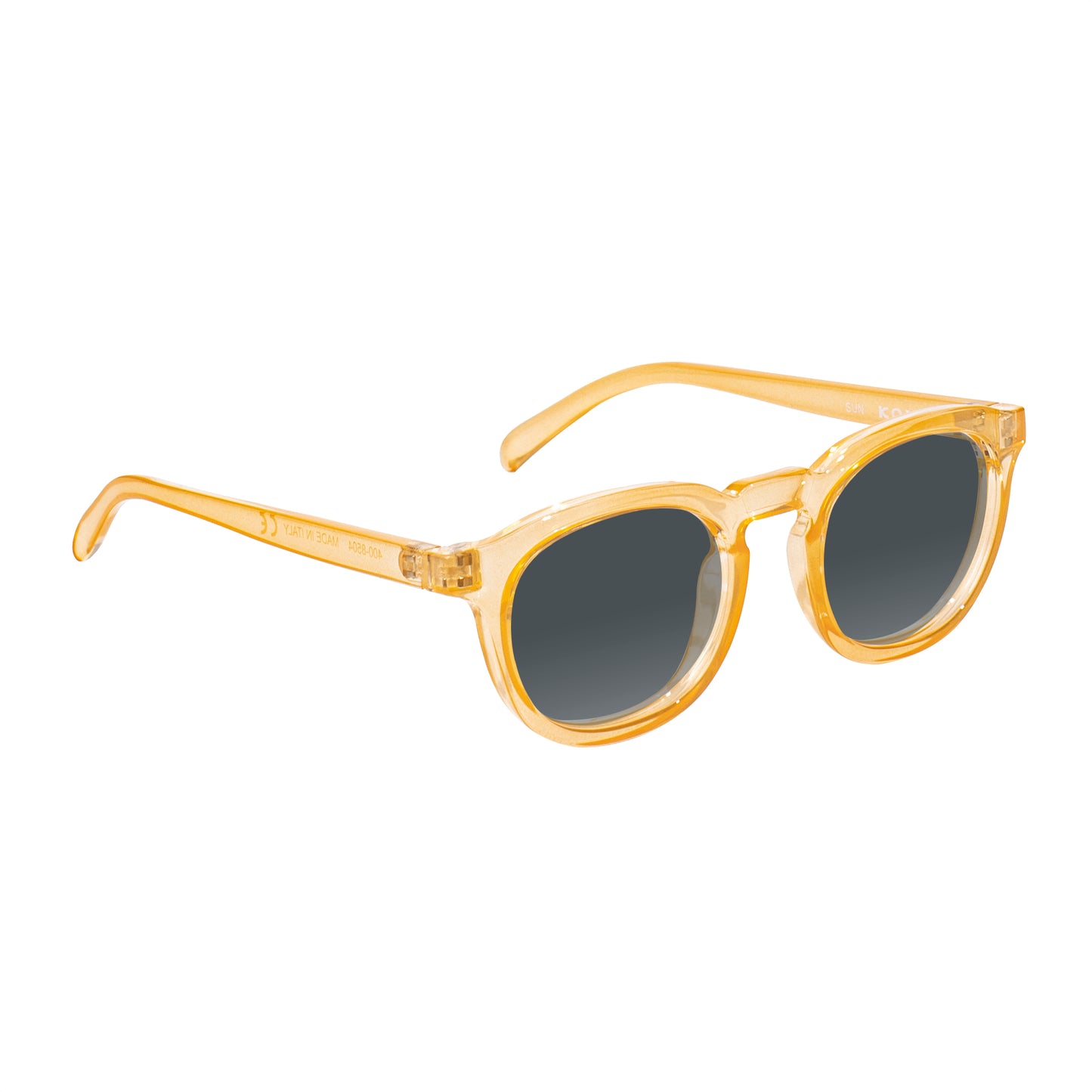 Webster Sunglasses