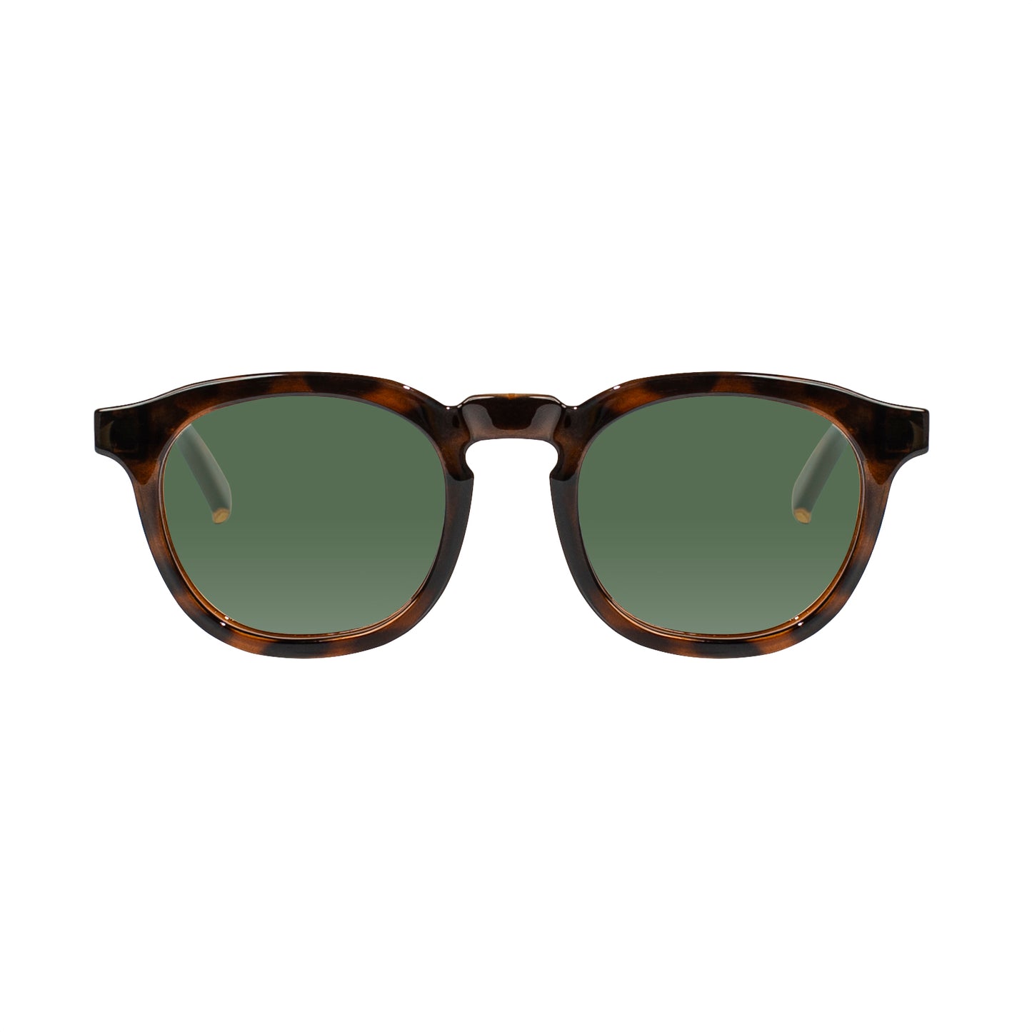 Webster Sunglasses