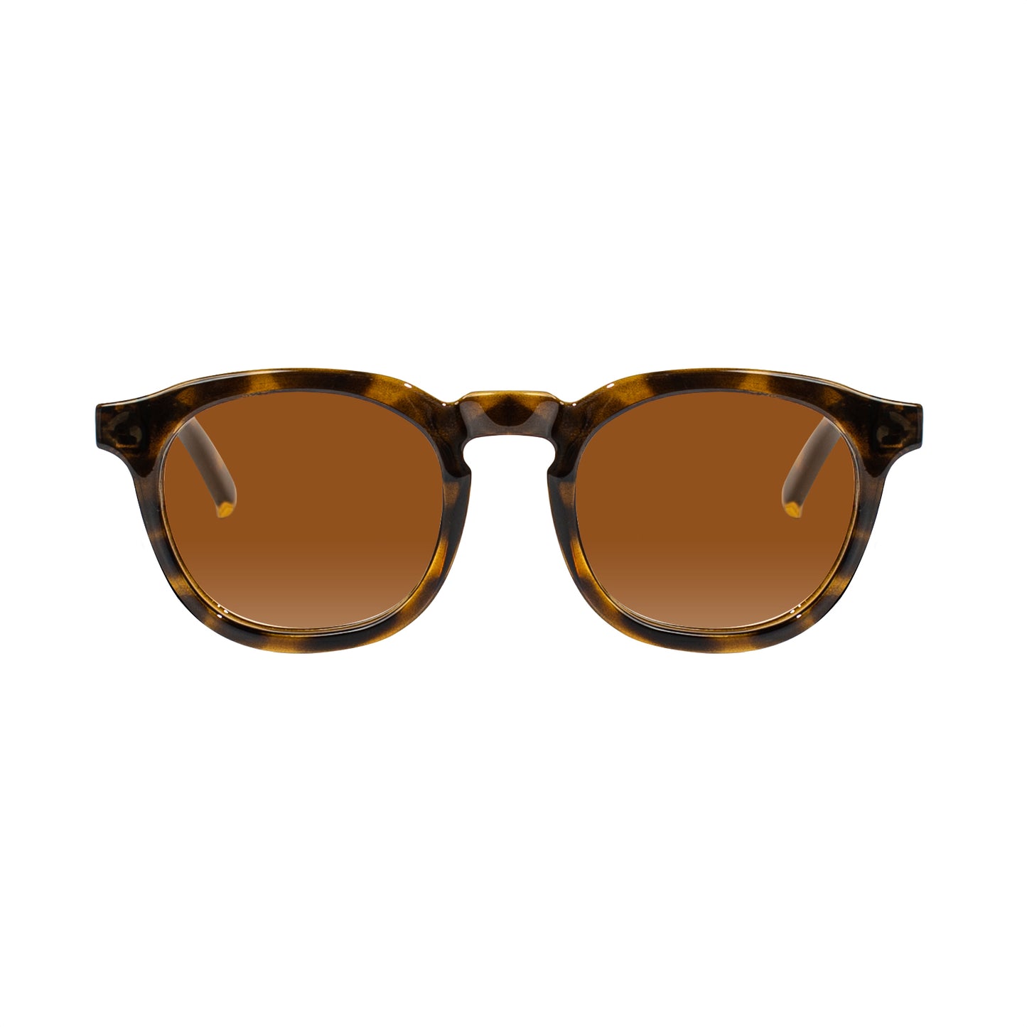 Webster Sunglasses