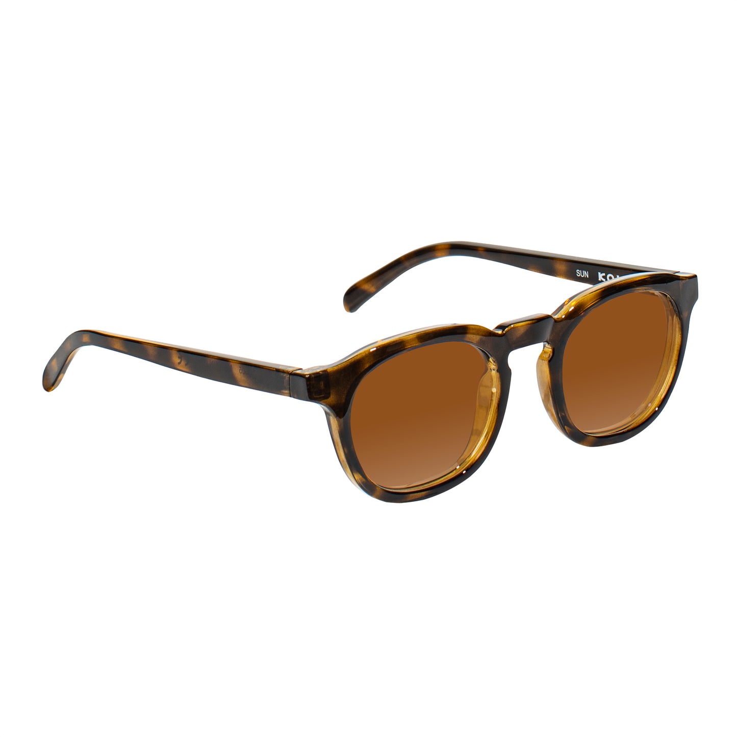 Webster Sunglasses