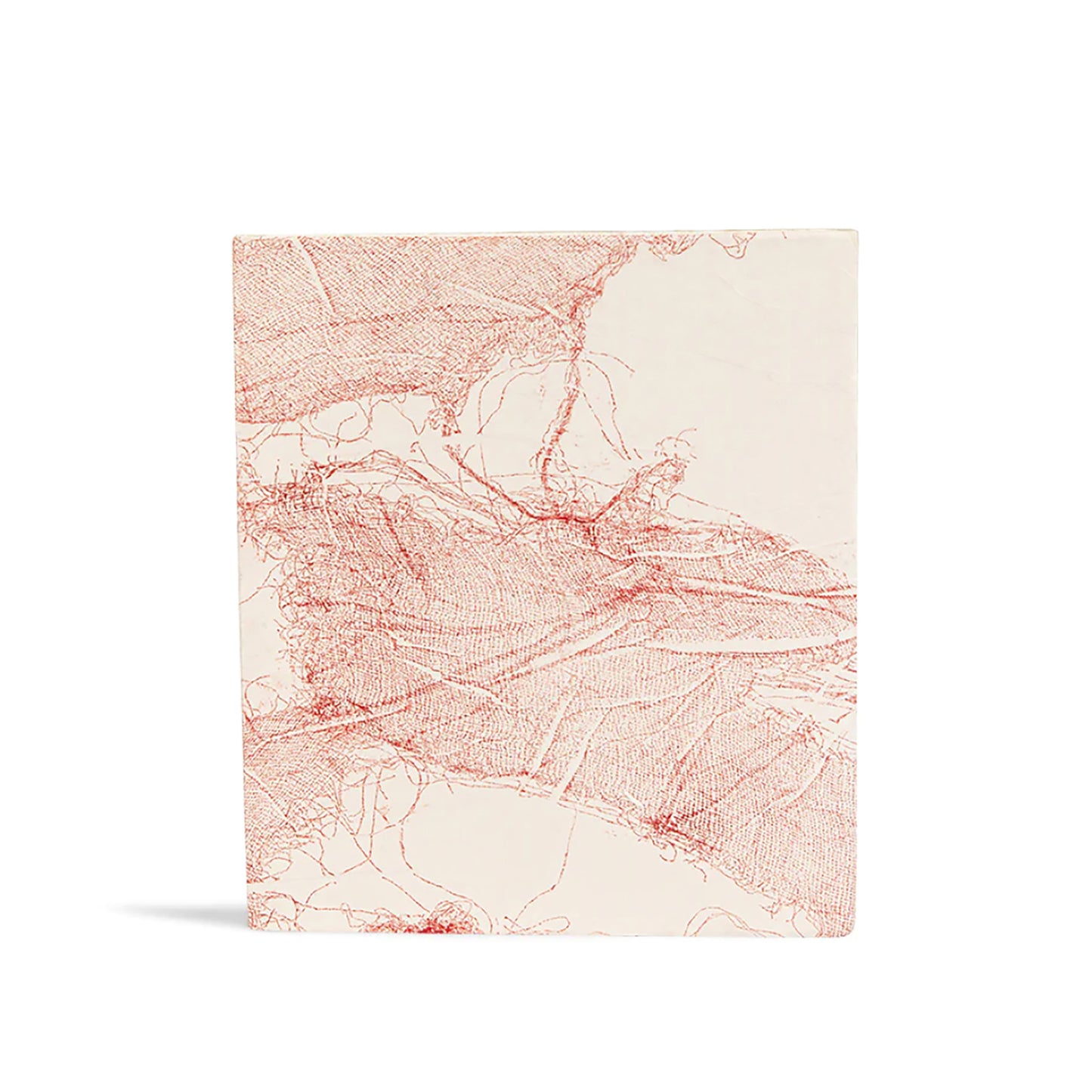 Elam Large Sketch
