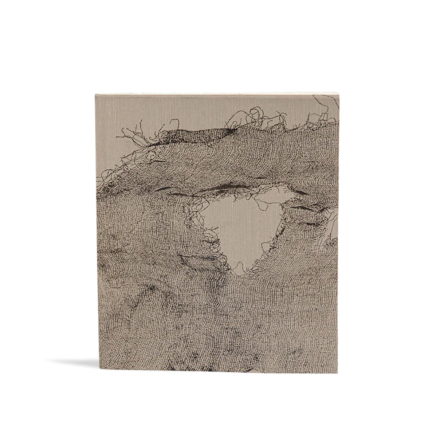 Elam Large Sketch