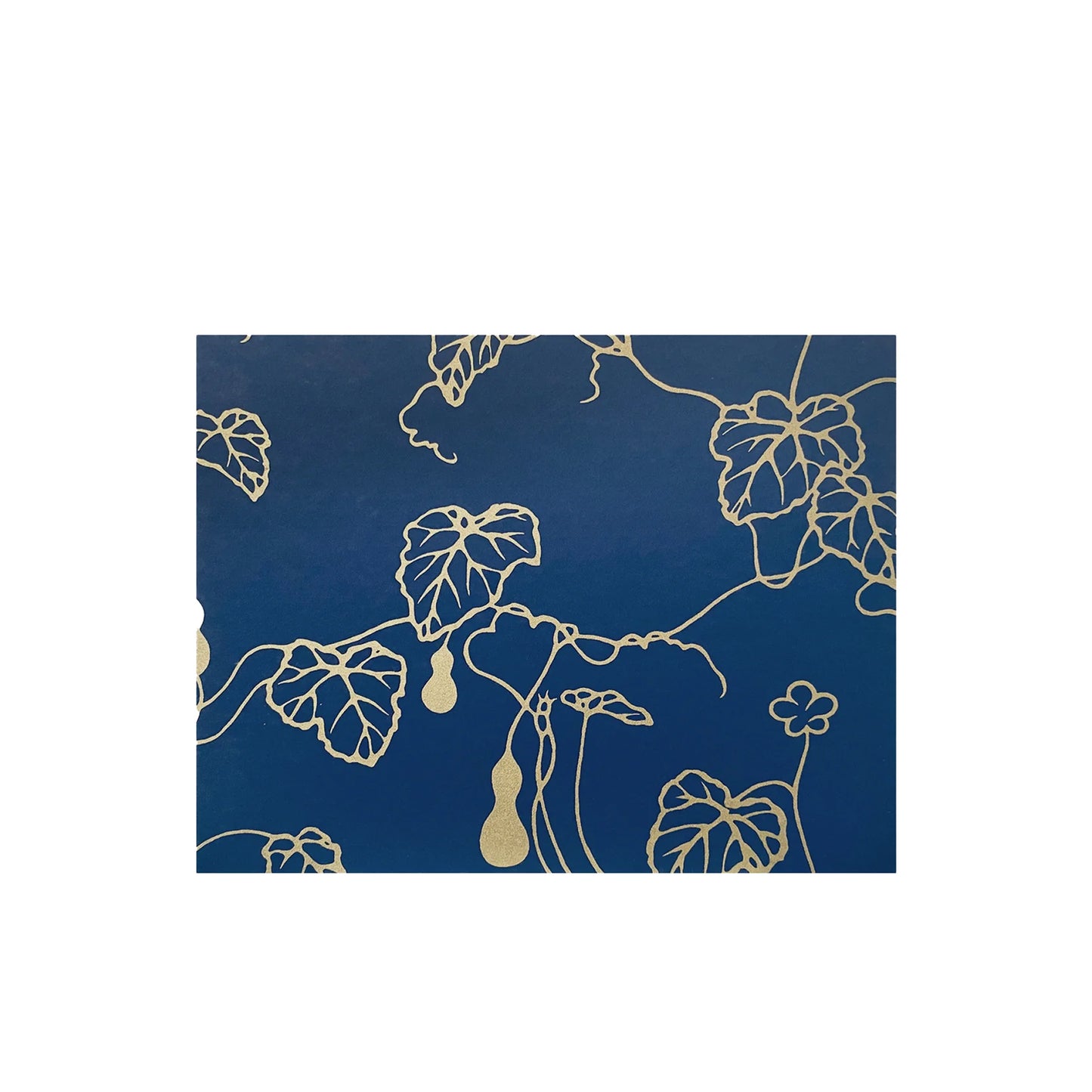 Newport 8.5x11 Washi Scrapbook