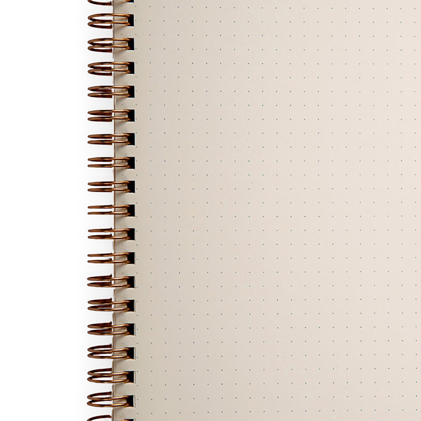 Romeo Notebooks