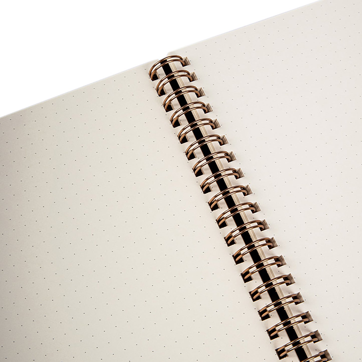 Romeo Notebooks