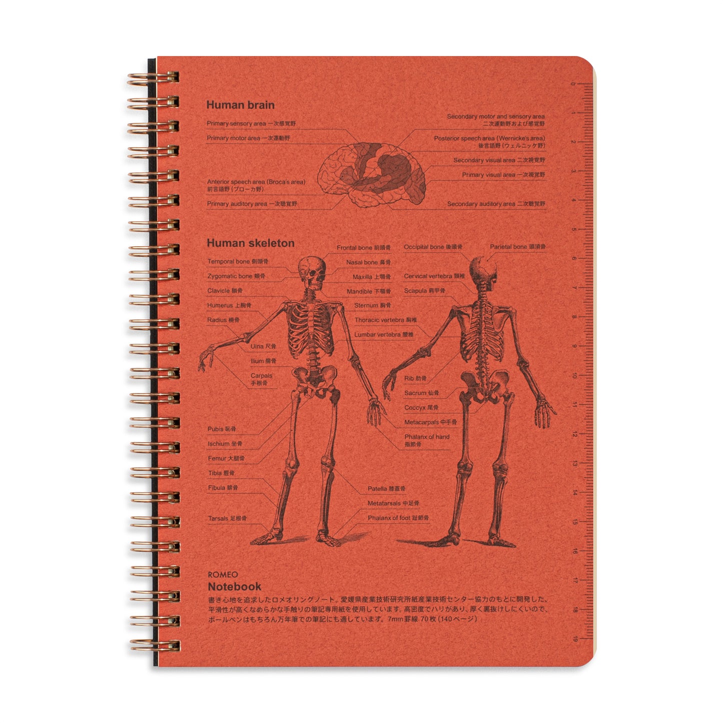 Romeo Notebooks