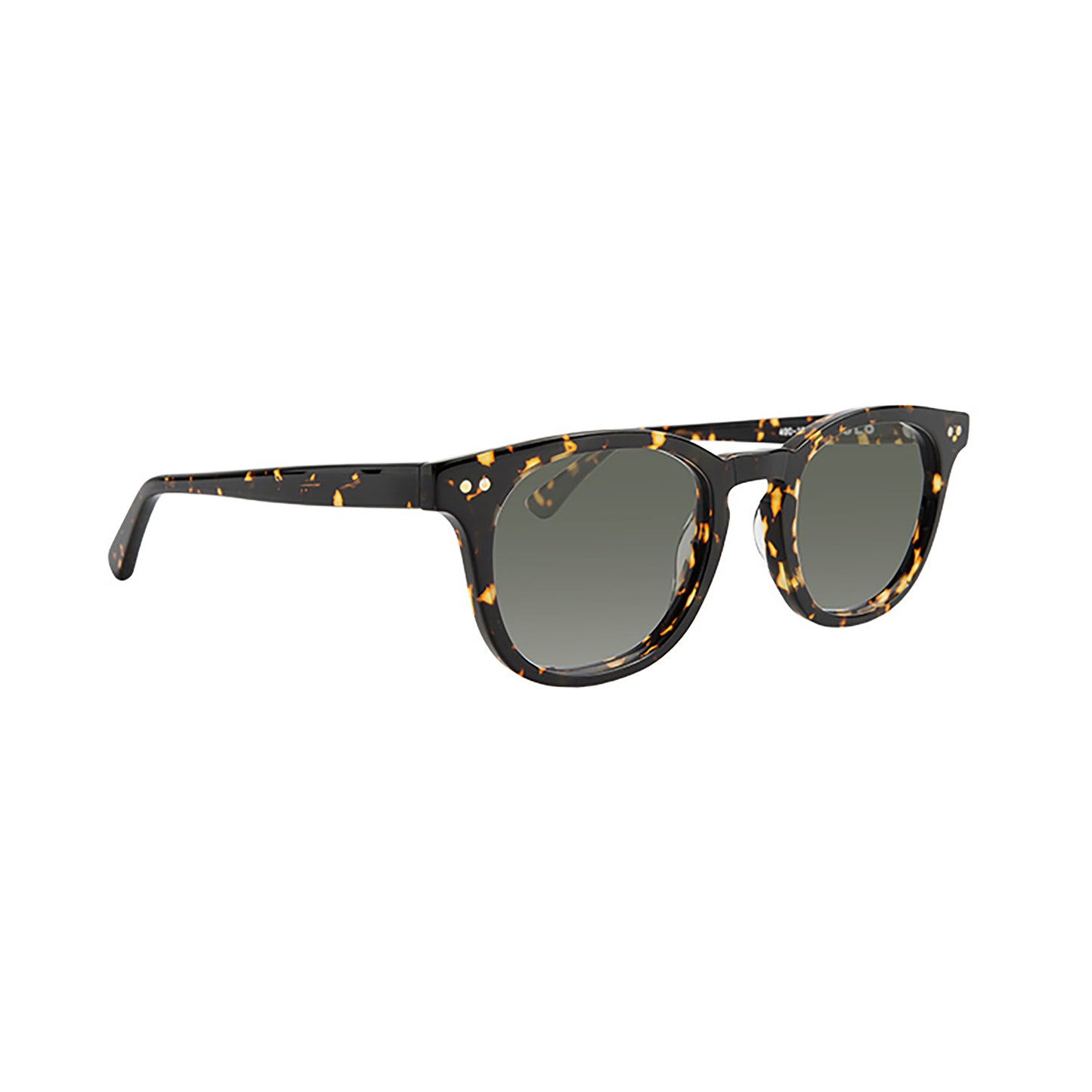 Chester Sunglasses