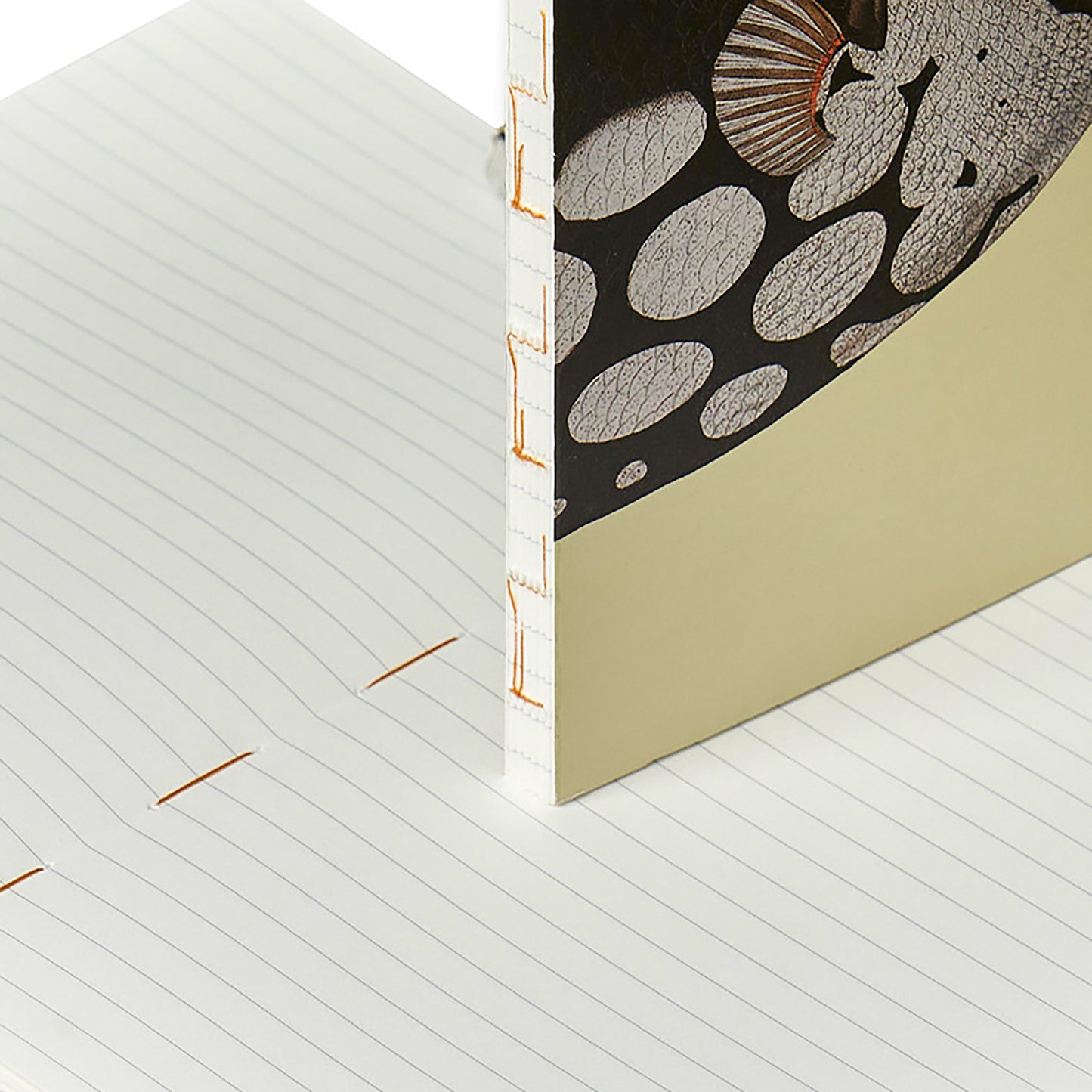 Illustrated Book Series Refills XL