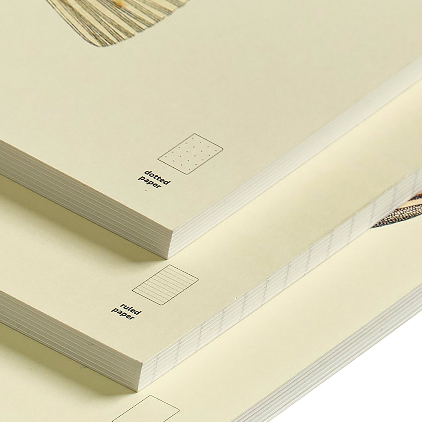 Illustrated Book Series Refills XL