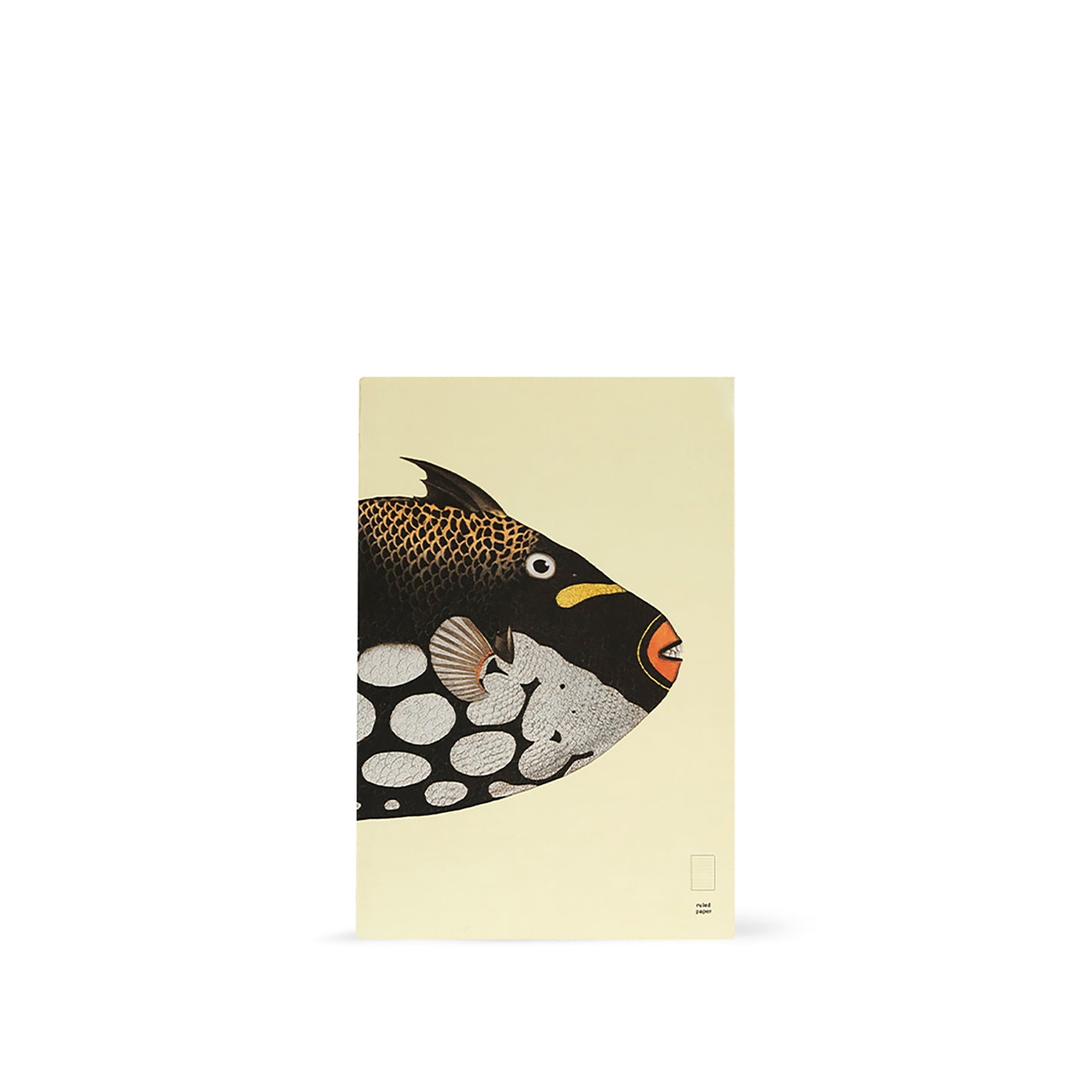 Illustrated Book Series Refills XL