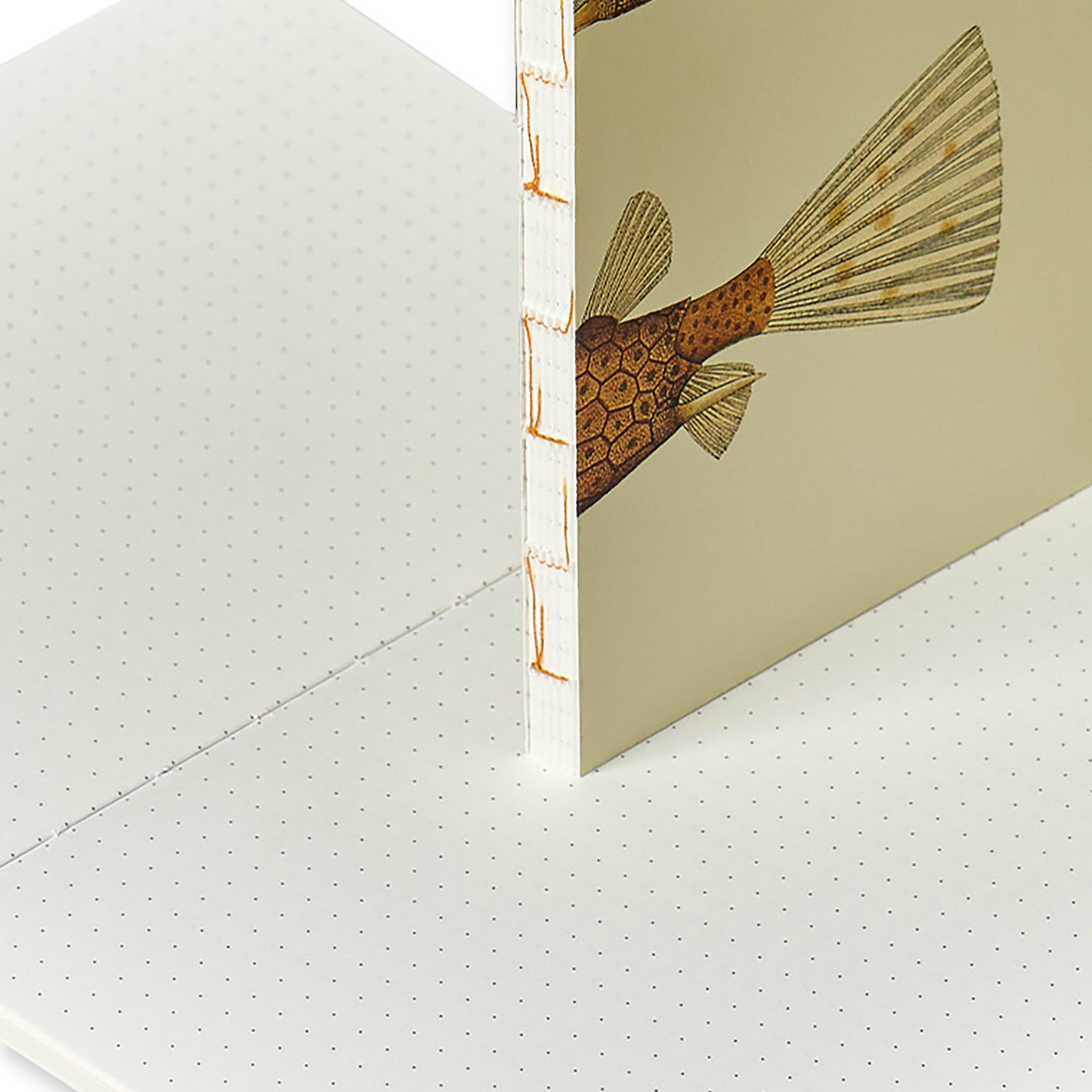 Illustrated Book Series Refills XL