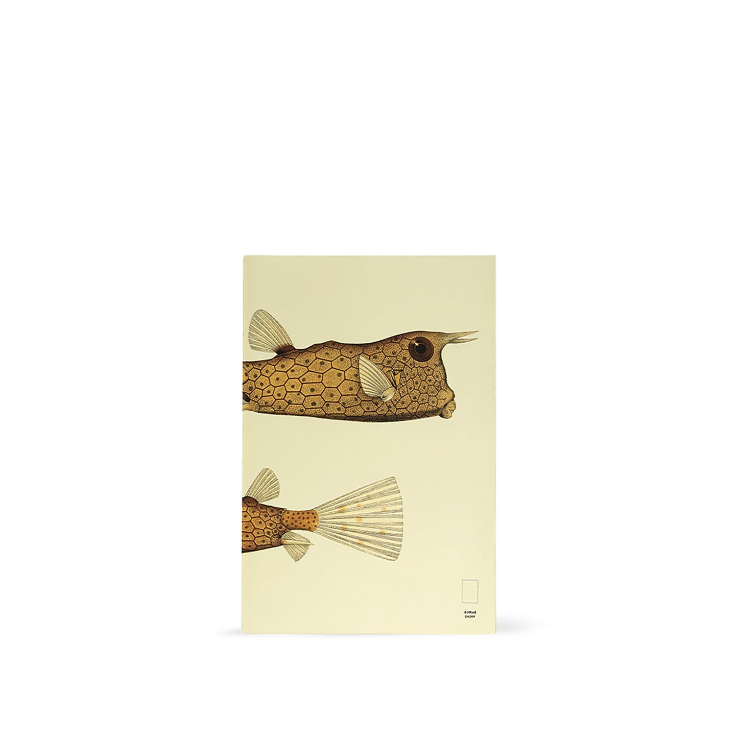 Illustrated Book Series Refills XL