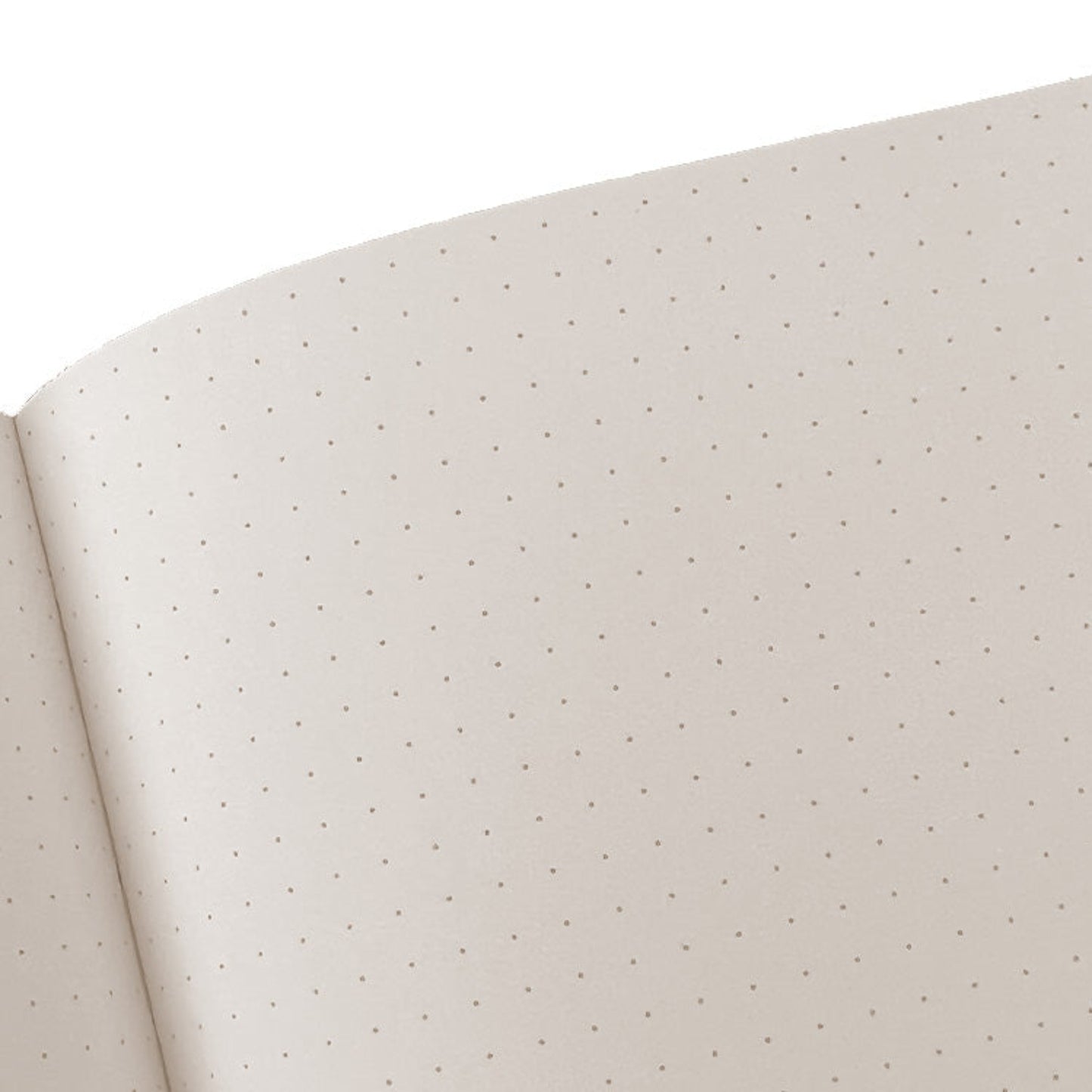 Large Bristol Journal