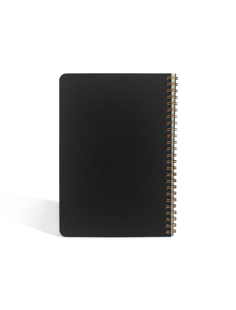 Large Sketchbook (Lizard, Black) (Watson-Guptill Sketchbooks)