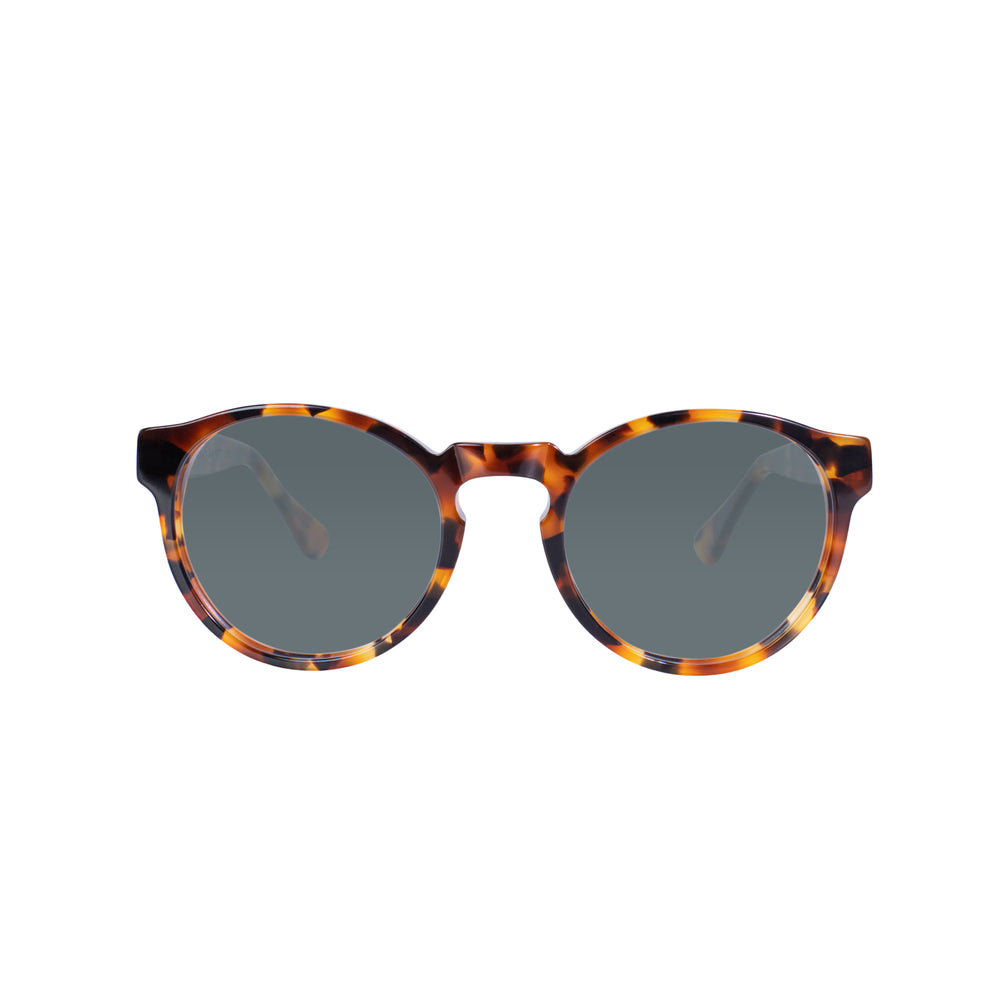 Oxford Sunglasses