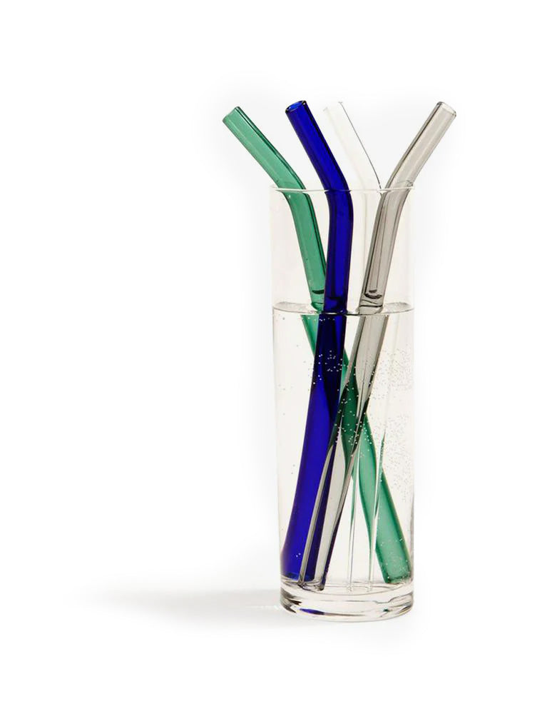 Glass Drinking Straw + Reviews