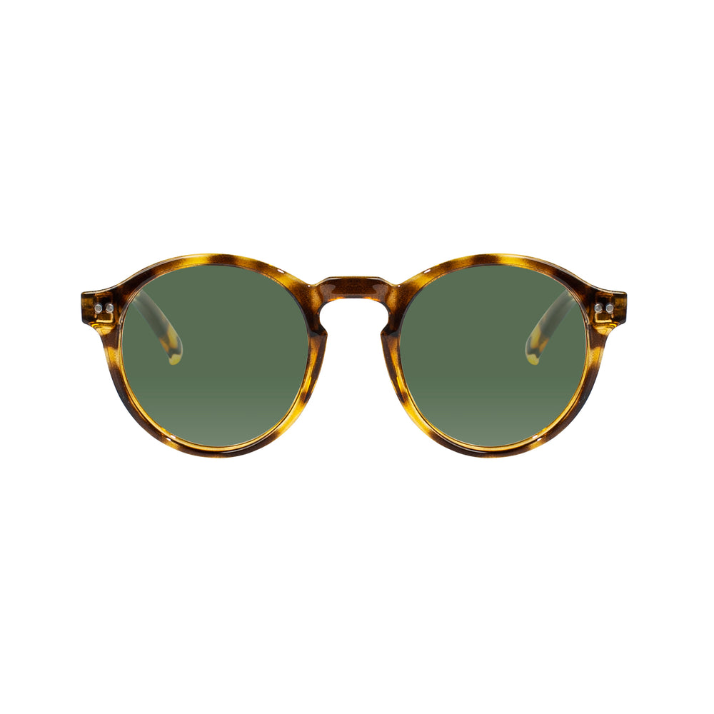 
                      
                        Harrison Sunglasses
                      
                    