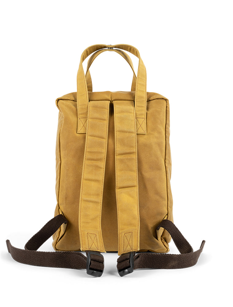 Safari hotsell juno backpack