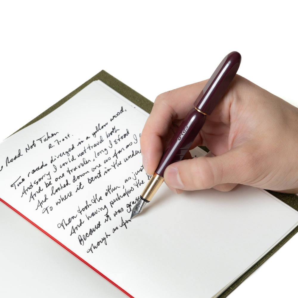 
                      
                        Tino Acrylic Fountain Pen
                      
                    