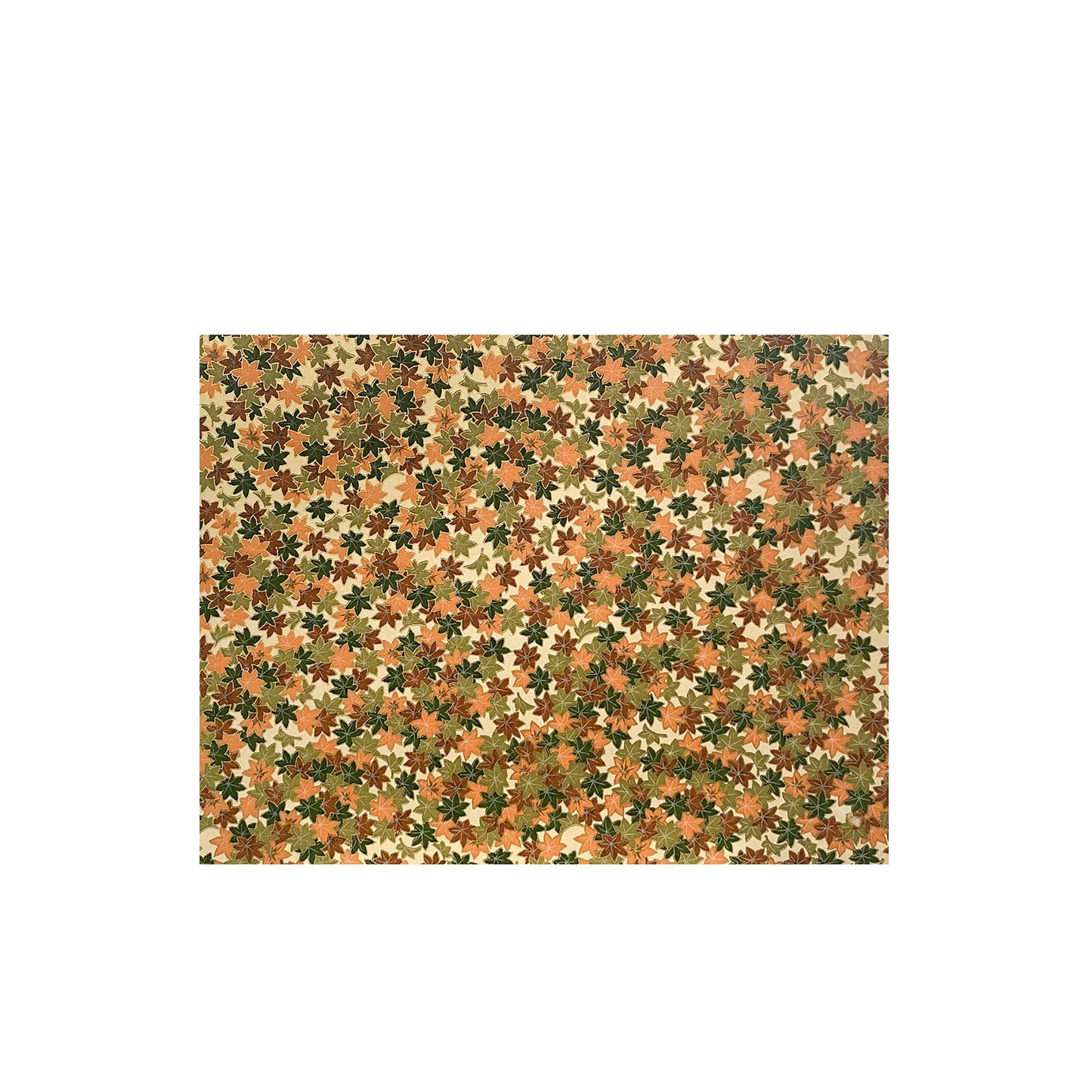 Newport 8.5x11 Washi Scrapbook