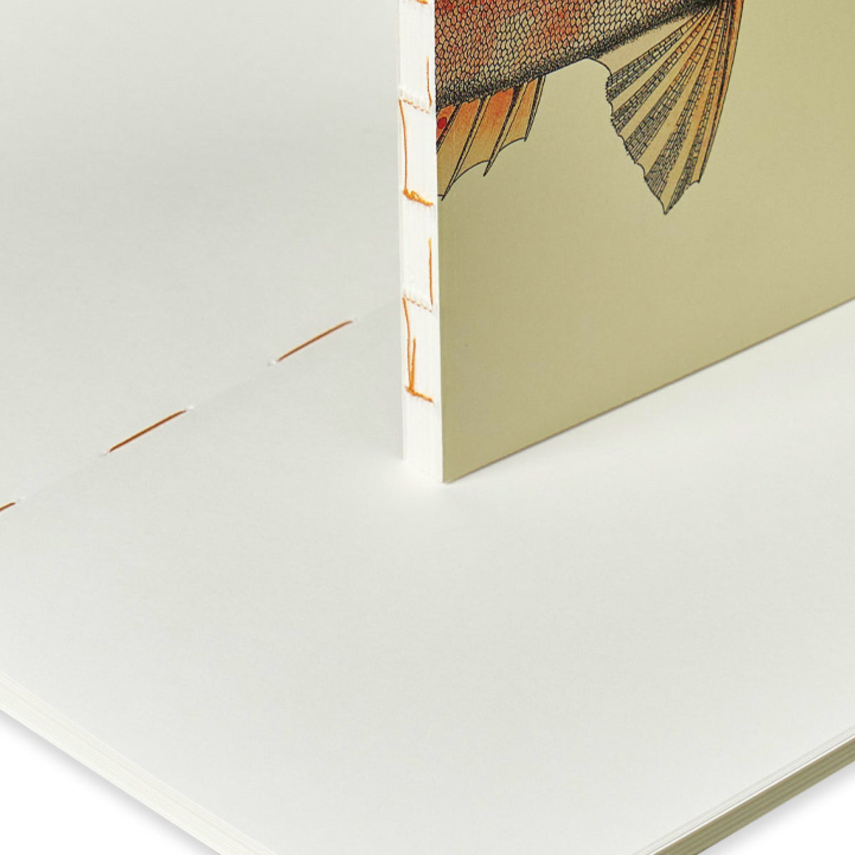 Embassy Designer Paper Paper Republic Embassy – Topdrawer