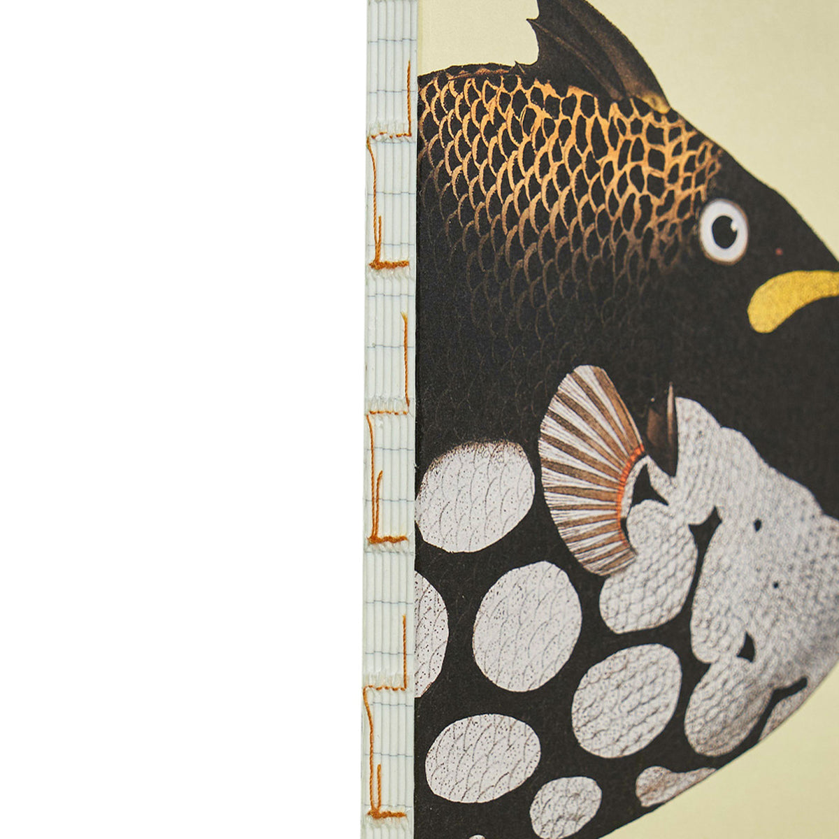 Embassy Designer Paper Paper Republic Embassy – Topdrawer