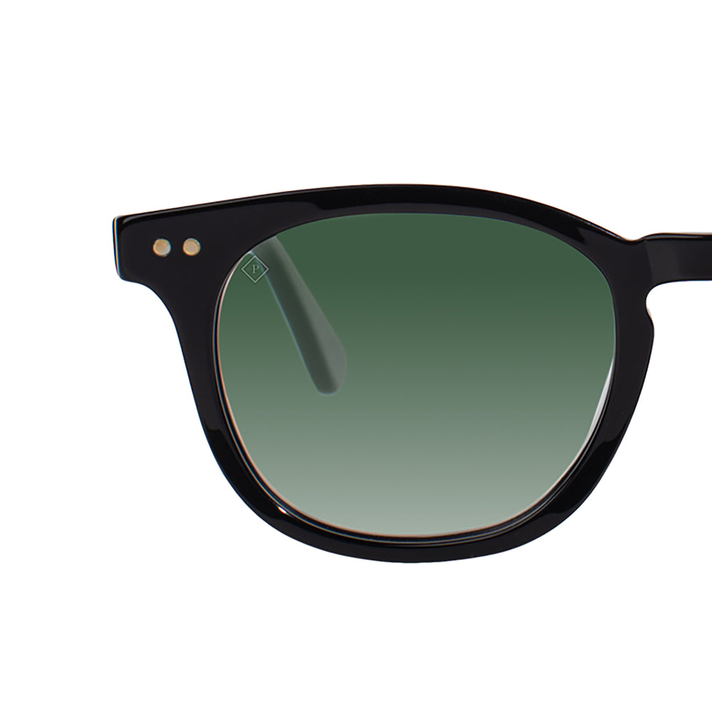 
                      
                        Chester Polarized Sunglasses
                      
                    