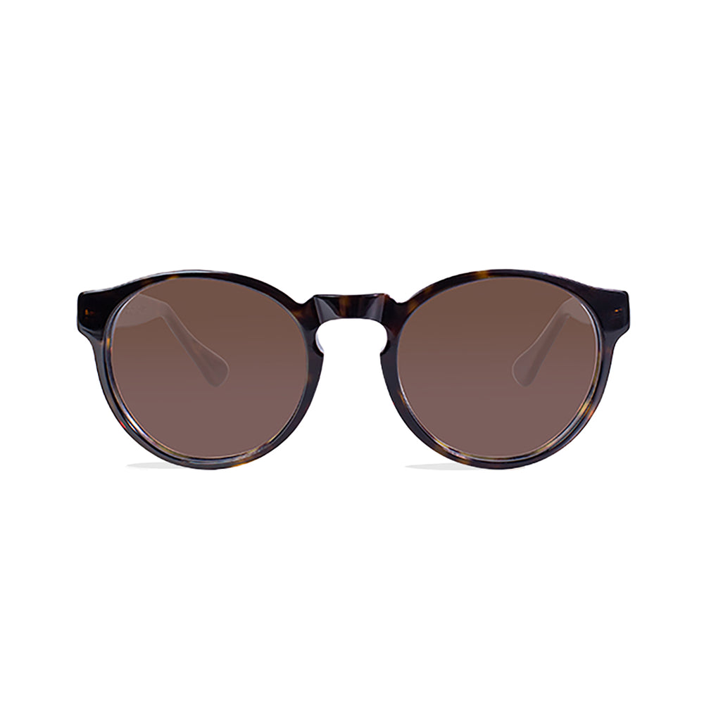 
                      
                        Oxford Sunglasses
                      
                    