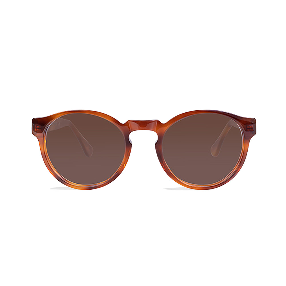 
                      
                        Oxford Sunglasses
                      
                    