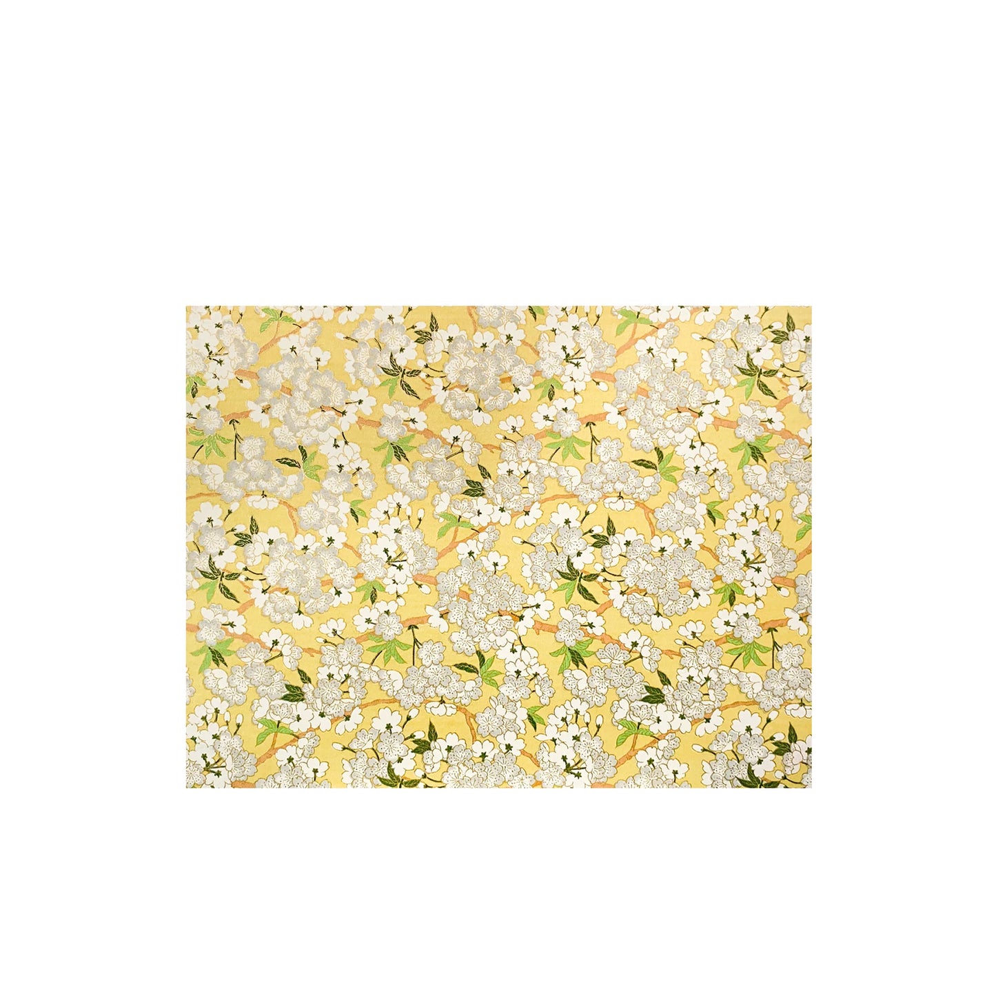 Newport 8.5x11 Washi Scrapbook