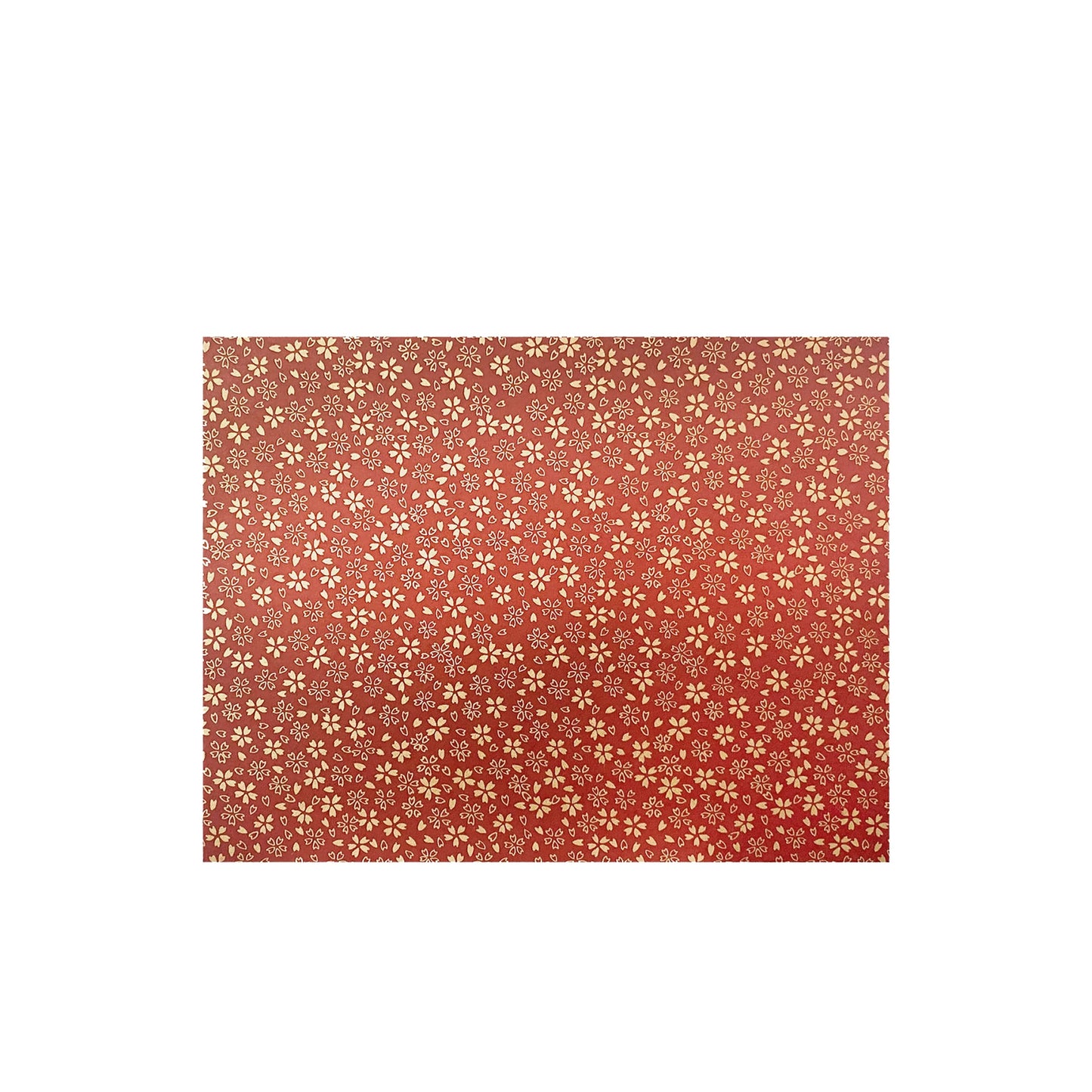 Newport 8.5x11 Washi Scrapbook