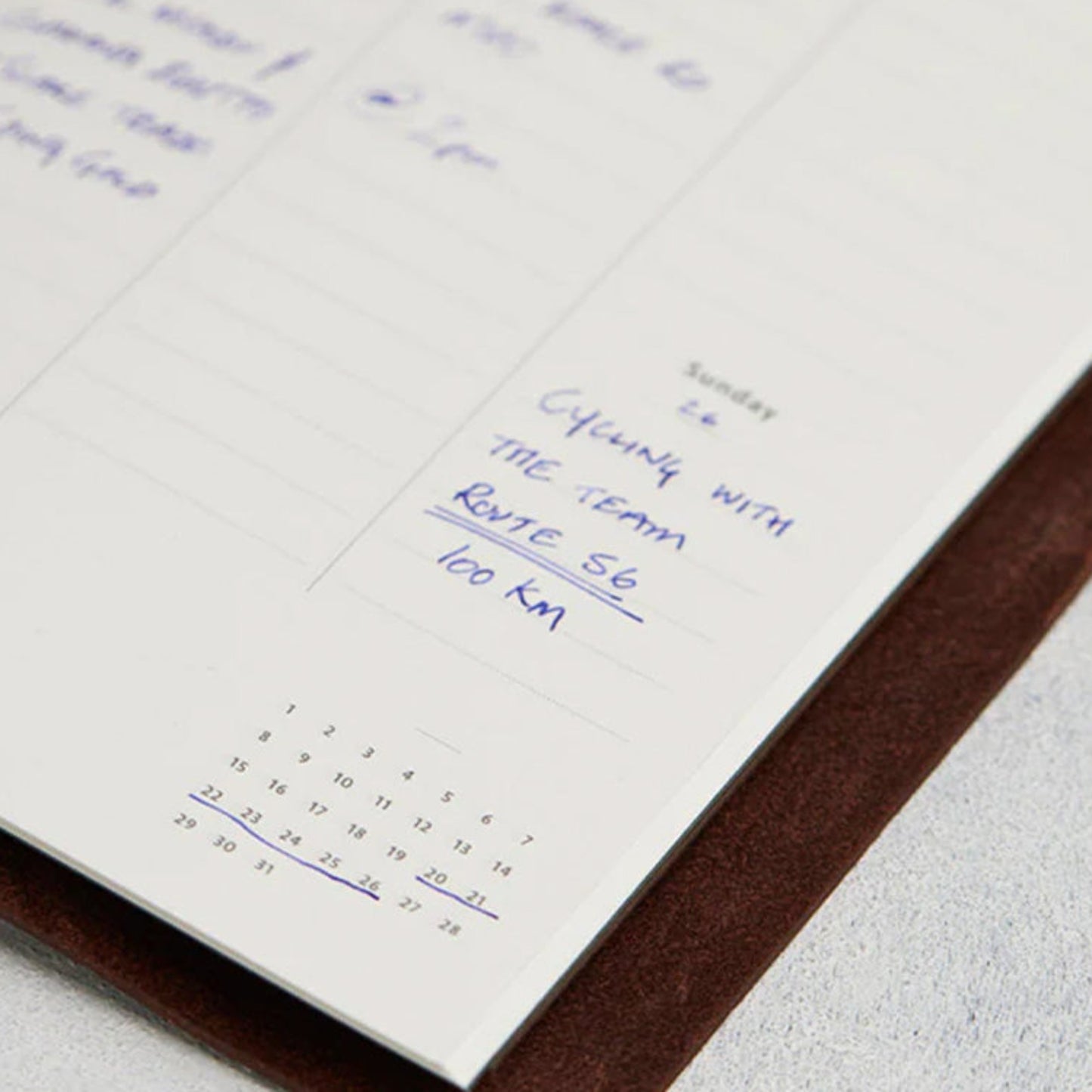 Timeless Weekly Planner XL